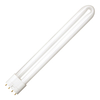 G.E. 24W 4 Pin Biax-L Low Energy Bulbs - Dimmable