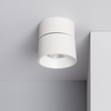 Iluzzia Onuba 30W Cool White LED Single Ceiling Spotlight - White