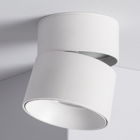 Iluzzia Onuba 30W Warm White LED Single Ceiling Spotlight - White