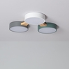 Iluzzia Sams 30W CCT Selectable LED Flush Ceiling Light - White & Grey & Green