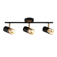 Lex 3 Light Spotlight Bar - Black