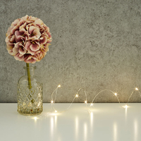 Mini Battery Operated Micro LED Silver Wire Fairy Lights - 10 Lights
