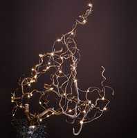 Mini Battery Operated Micro LED Silver Wire Fairy Lights - 40 Lights