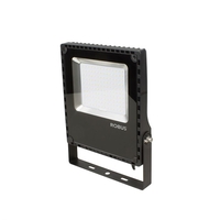 Robus Champion 100W Cool White LED Floodlight - Black