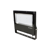 Robus Champion 170W Cool White LED Floodlight - Black