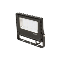 Robus Champion 30W Cool White LED Floodlight - Black