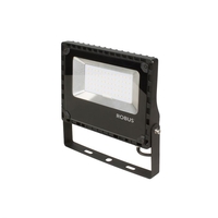 Robus Champion 50W Cool White LED Floodlight - Black