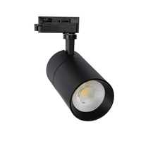 Single Circuit 20W Warm White Dimmable LED Track Light New Mallet - Black