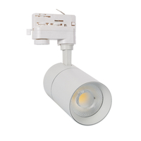 Three Circuit 30W Cool White Dimmable LED Track Light New Mallet - White