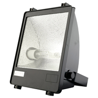 250W SON Floodlight