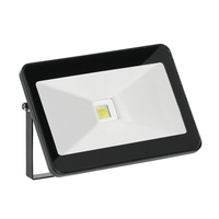 Aurora Enlite QuaZar 20W Warm White LED Driverless Floodlight