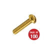 CED Pan Head Brass Screws - 16mm - Pack of 100