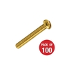 CED Pan Head Brass Screws - 20mm - Pack of 100