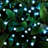 Cole and Bright Dual Power Solar White LED String Light - 200 Lights