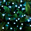 Cole and Bright Dual Power Solar White LED String Light -100 Lights