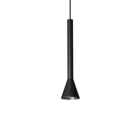 Diesis Ceiling Pendant Light - Black