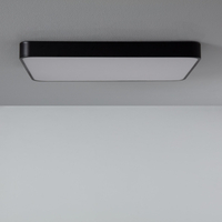 Edit 40W Hidria Flush Ceiling Light - Black