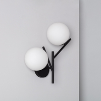 Edit Balts 2 Arm Wall Light - Black