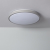 Edit Bari 24W Colour Selectable LED Flush Ceiling Light - Grey