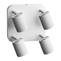 Edit Eye 4 Light Spotlight Plate - White