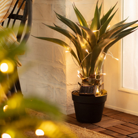 Edit LED Solar String Light - Clear