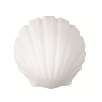 Edit Sat Flush Wall Light - White