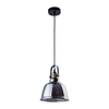 Edit Task Glass Ceiling Pendant Light - Smoked