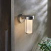 Edit Thames Frosted LED Outdoor Wall Light - Brushed Silver