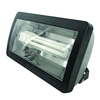 Eterna Low Energy Floodlight with Dusk to Dawn Sensor