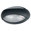 Eyes LED Up and Down Wall Light