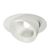 Flash 15W Cool White LED Recessed Circular Display Light