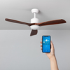 Forest 15W Colour Selectable WiFi LED Ceiling Fan 132cm - White