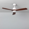 Forest Colour Selectable LED Ceiling Fan with Light and Remote Control - Wood