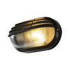Forum Coastal Puck Oval Outdoor Flush Wall Light - Black