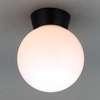 Forum Coastal York Outdoor Semi-Flush Ceiling Light - Black