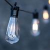 Garden 24V 5.5M Heavy Duty LED Squirrel Cage Festoon Lights - 10 Lights