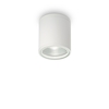 Gun Outdoor Flush Ceiling Light - White