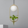 Iluzzia Moonlight Puncak Ceiling Pendant Light With Glass Plant Pot - Gold