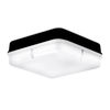 IP65 LED Bulkhead – Square - Black - Standard