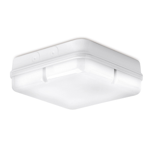 IP65 LED Bulkhead – Square - White - Standard
