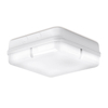 IP65 LED Bulkhead – Square – White - Microwave Sensor