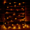Konstsmide 240 Warm White LED Battery Operated Multi-Function Net Light