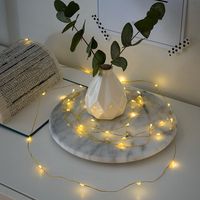 Konstsmide 40 Warm White LED Battery Operated Micro Fairy Lights - Brass