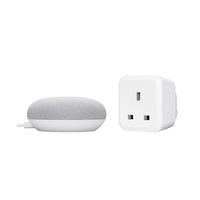 Ledvance Smart+ Bluetooth Indoor Plug with Google Nest Mini Starter Kit