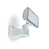 Lutec Peri 16W Cool White LED Floodlight - White