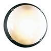 Massa LED Bulkhead - Black
