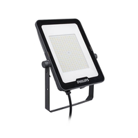 Philips Ledinaire 150W Cool White LED Asymmetric Floodlight