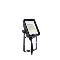 Philips Ledinaire 30W Warm White LED Floodlight