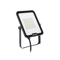 Philips Ledinaire 70W Cool White LED Floodlight