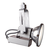 Riley 70W Track Light